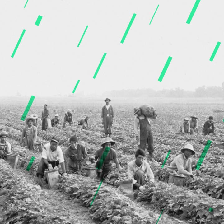 Gen AI training • ANGA